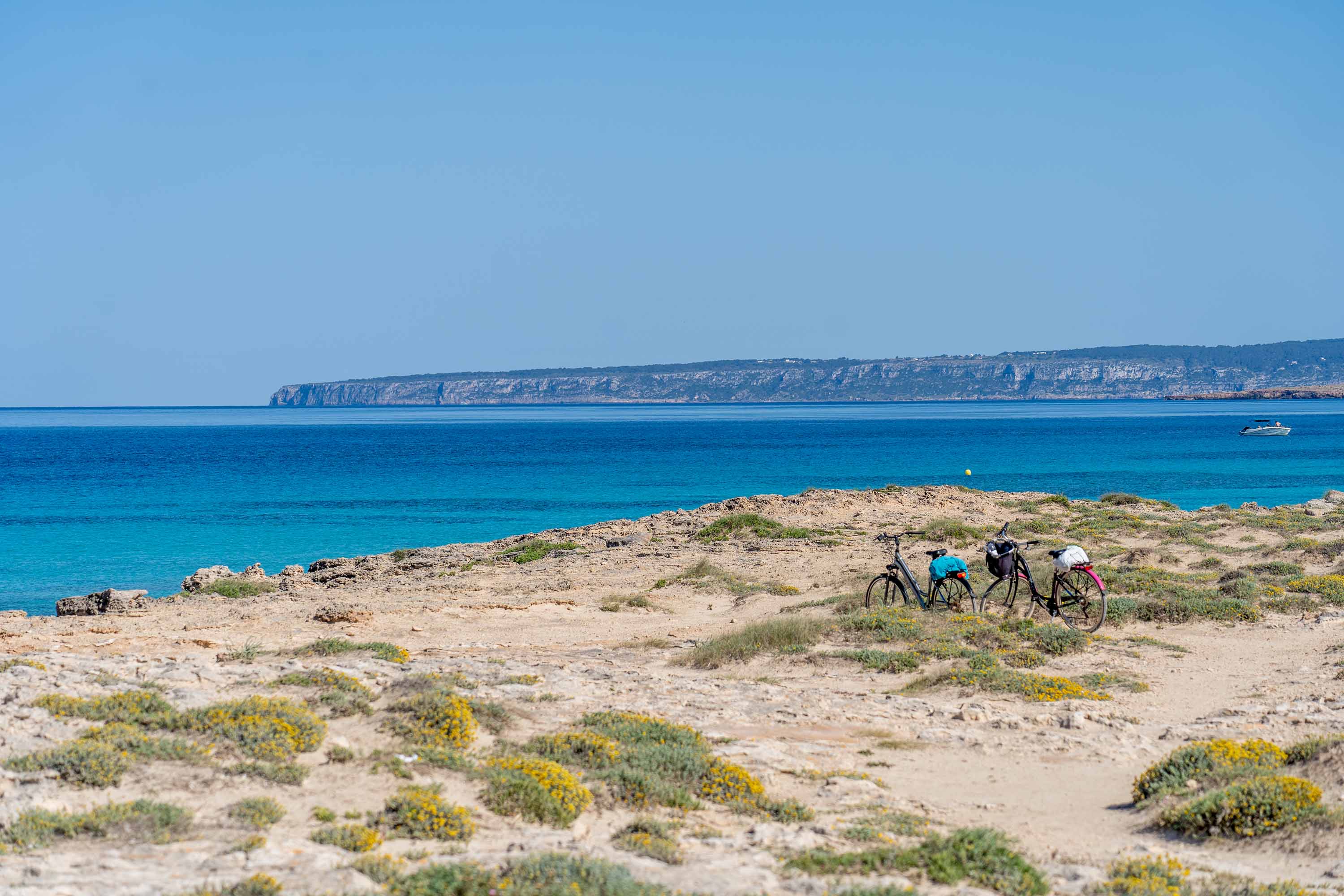 Formentera per principianti: la guida definitiva per la tua prima volta sull’isola